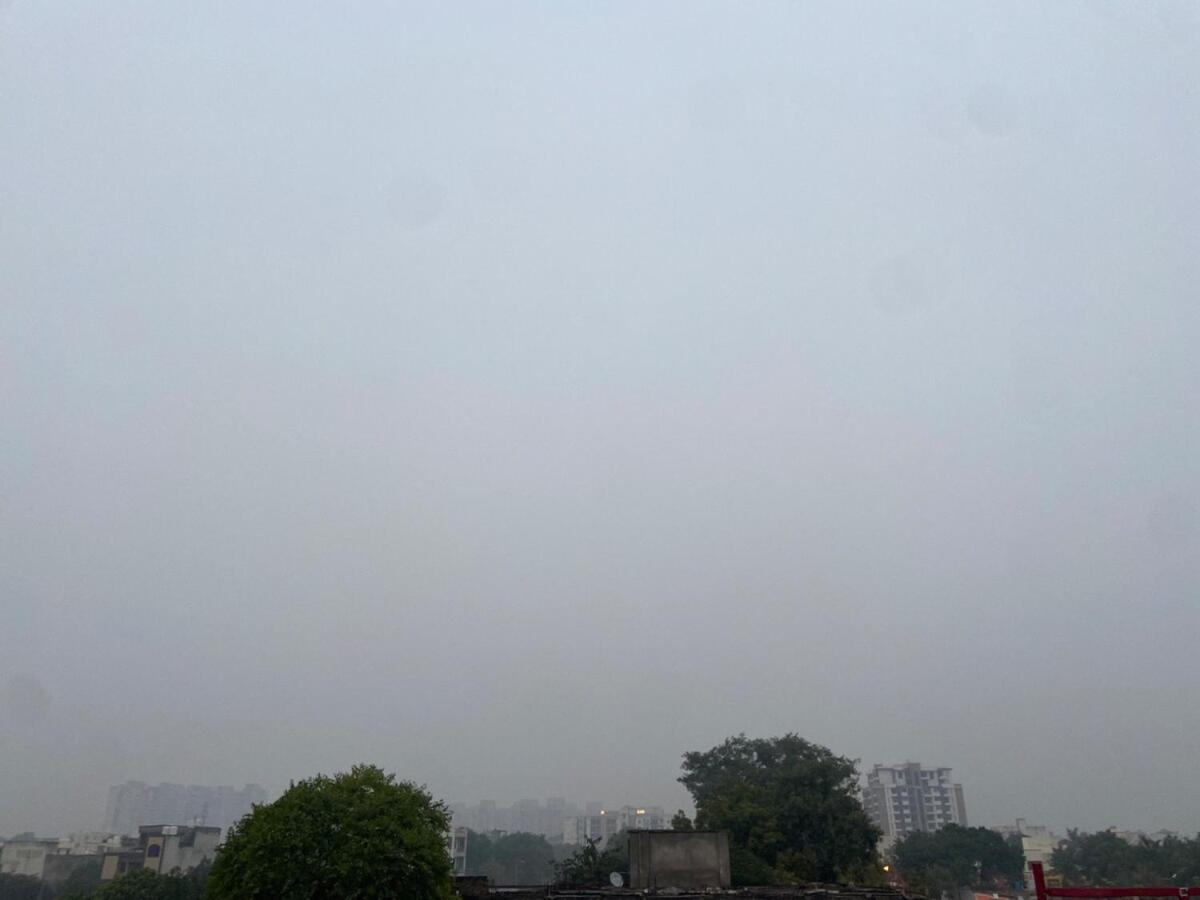 Taj Vibes By Vibz Agra (Uttar Pradesh)